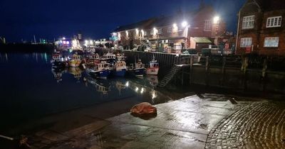 Town forced to abandon New Year's Eve fireworks after walrus washes up on shore