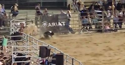 Cowboy thrown and gored to death as bull runs riot in New Year's Eve rodeo tragedy