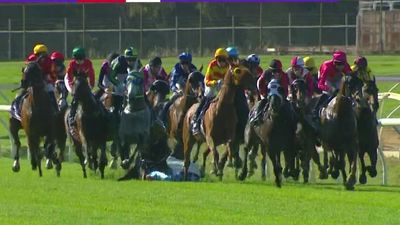 Perth Cup race abandoned after horror fall leads to death of horse