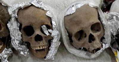Four human skulls wrapped in tin foil are found in package going from Mexico to US