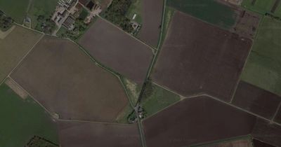 Man dies and two seriously injured in New Year's Day smash