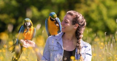 Man who 'hated birds' now makes a living from his parrots thanks to wife