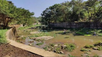 Illegal landfilling taking place near Mithi river channel at Mumbai's Aarey, cry greens