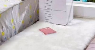 Shopper left speechless after Shein rug order arrives