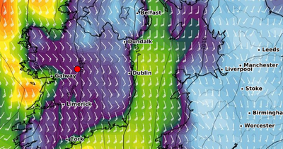 Met Eireann issues first weather warning of 2023 as fog and ice cause issues amid grim January update