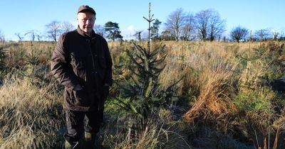 Co Antrim pensioner hailed as eco-champion after planting 20,000 trees on disused land