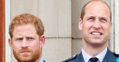 Leaked details of Prince Harry's book Spare suggest William and Kate get brunt