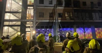 Astonishing pics show firefighters save woman from third floor of blazing building