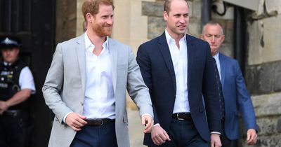 Prince Harry's book means he and William will never reconcile, royal experts say