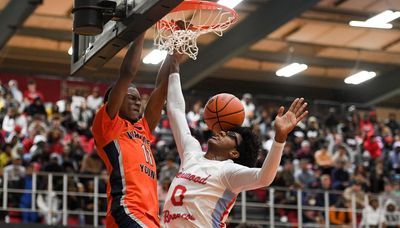 City/Suburban Hoops Report Three-Pointer: Young’s Daniel Johnson dominates, Hinsdale Central emerges, holidays deliver