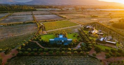 New Love Island villa close to rescue centre for cheetahs who roam through farms