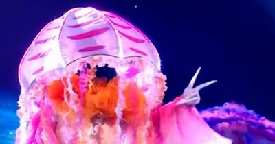 Jellyfish on Masked Singer's identity theory 'shut down' for very obvious reason