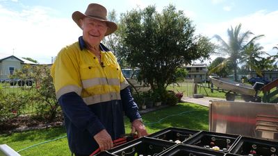 Off-grid living with solar power on Curtis Island saves Qld couple thousands on energy bill