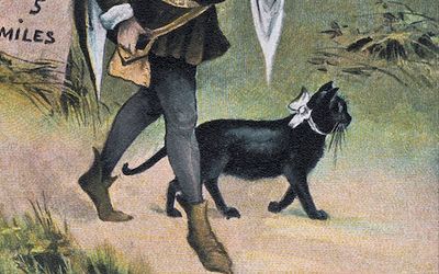 Medieval manuscripts reveal why humans loved cats — with one big exception