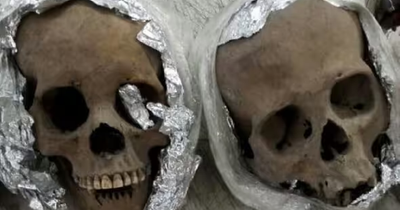 Four human skulls destined for US found in cardboard box at airport