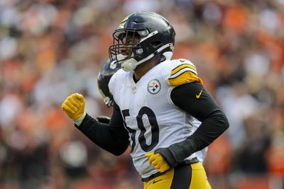 Steelers LB Malik Reed healthy scratch vs Ravens