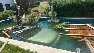 Occupants escape through sunroof after car plunges into swimming pool, police say