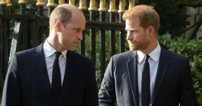 Prince Harry to spill beans on 'explosive' new book on US TV show