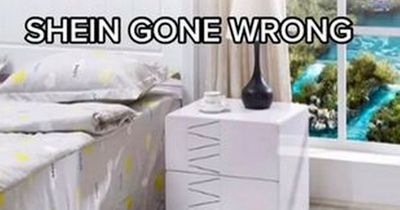 Shein customer left speechless after ordering 'cute' item and issues warning to other shoppers