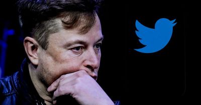 Elon Musk is the first man to blow $200bn - and he did it in a year