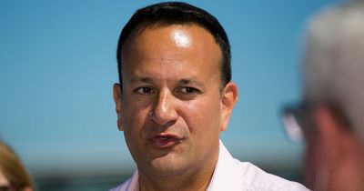 Leo Varadkar says Ireland's 'two-tiered health service' is 'not right or normal'