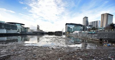 Horrifying pictures show canal in Salford Quays brimming with huge piles of litter