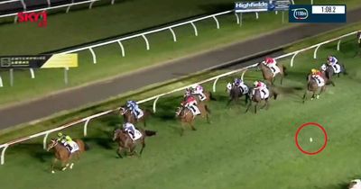 Officials hunt New Year's Eve revellers who threw beer cans towards horses during race