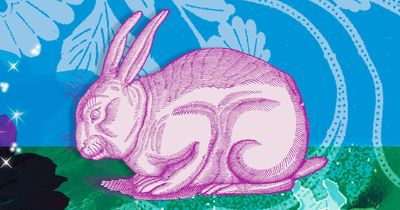 What Chinese Year of the Rabbit 2023 could bring for you depending on your zodiac
