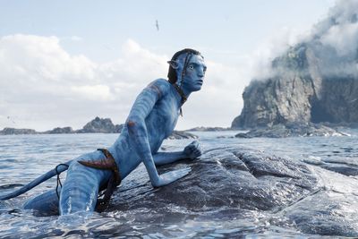Can oceanic movies shift our land bias?