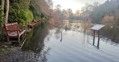 Pictures show popular Edinburgh park pond overflowing days after storm