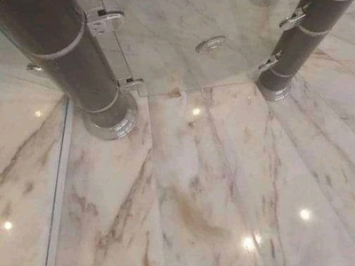 There is a cat hidden in this image, can you find it within 5 seconds?