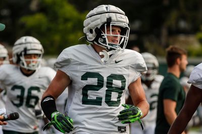 MSU football DB Tate Hallock enters transfer portal