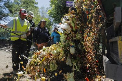 Waste not want not: Santiago's poorest district plants recycling seed