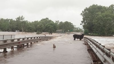 Flooding inundates homes in Fitzroy Crossing, central Kimberley as river hits highest level on record