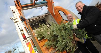 All the places you can recycle your Christmas tree in Merseyside