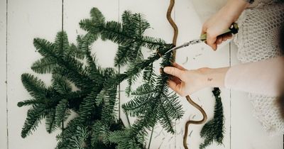 Seven ways to reuse your real Christmas tree