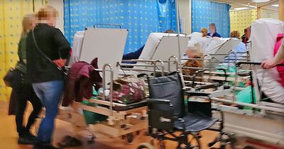 Ireland health crisis: Public urged to stay away from Emergency Departments amid 'extreme pressure'