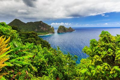 Passengers treated to drinks on beach and island tour after emergency New Year’s Eve landing in Samoa