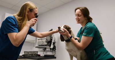 New practice for Ash Tree Vets