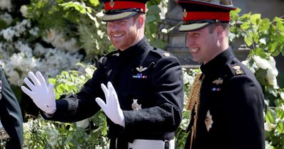 Prince Harry 'Spare' release date and all you need to know about the book