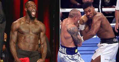 Anthony Joshua warned not to rush into fight with hard-hitting Deontay Wilder
