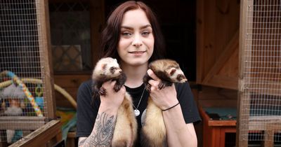 Nottinghamshire animal rescuer's anger after ferrets found dumped in park