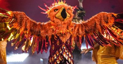 Masked Singer UK fans 'work out' who Phoenix really is - and it's not David Tennant