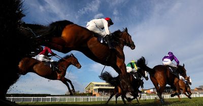 Newsboy's horse racing selections for Wednesday's three meetings, including Hereford Nap