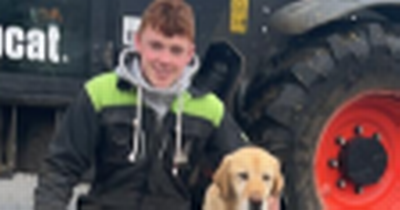 Community plunged into grief following death of young Galway farmer in tragic accident