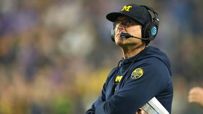 Report: Panthers owner David Tepper spoke with Jim Harbaugh about HC job
