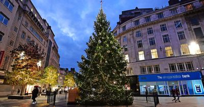 Where to dispose of your real Christmas tree in Liverpool