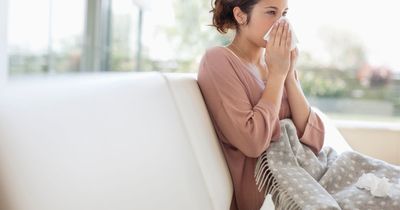Covid, flu and strep: How bad it got and how health experts expect them to hit us in winter months