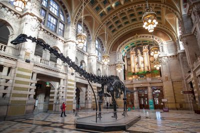 UK’s ‘most popular’ dinosaur Dippy heading to Coventry