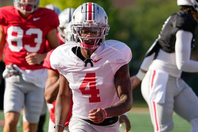 Ohio State cornerback enters the transfer portal